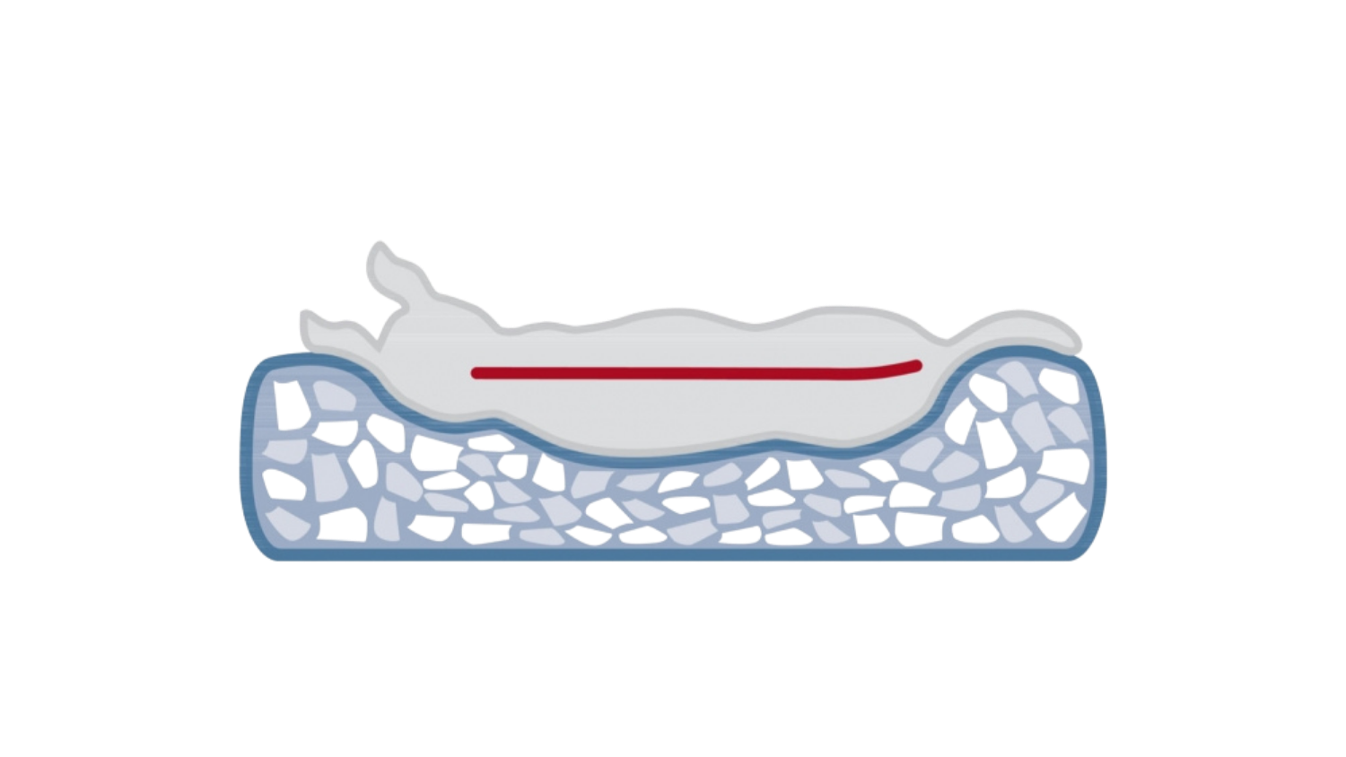 Vital Kissen Calito